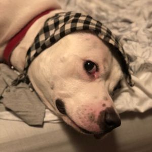 Meet your Posher, Gianna